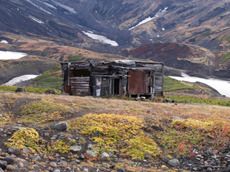 An Old Shack